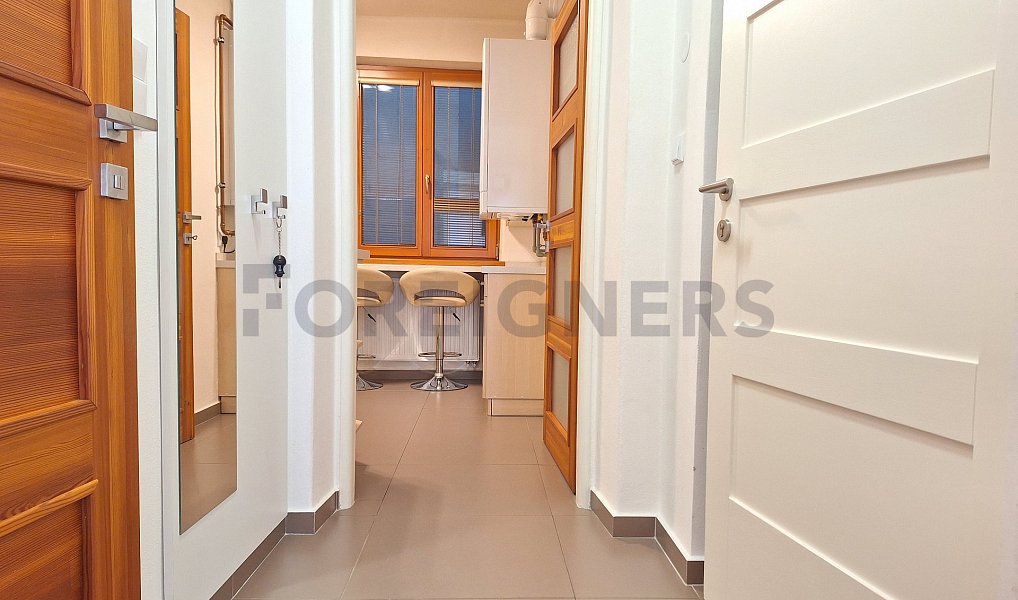 Pronájem bytu 1+1 53 m², Olomouc – náhled fotky 6