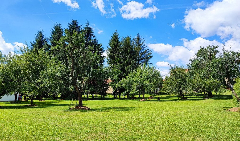 Prodej stavebního pozemku 2 613 m², Kelč – náhled fotky 6