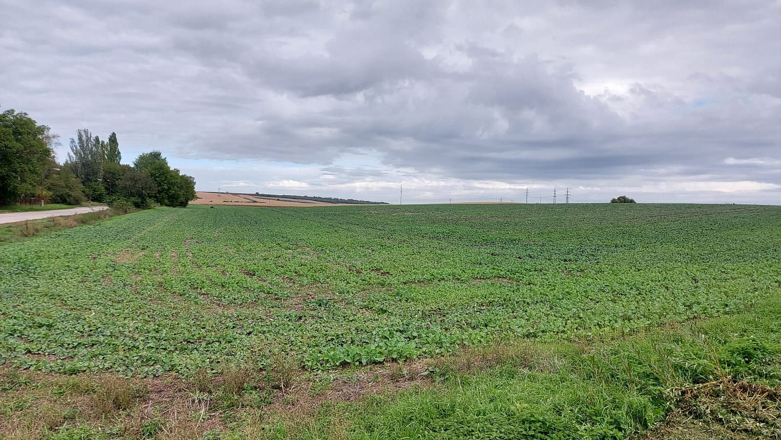 Prodej stavebního pozemku 25 000 m² — photo 4