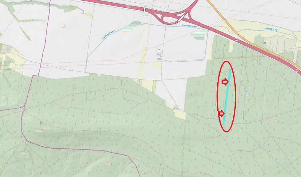 Prodej lesa 11 311 m², Velešovice – náhled fotky 10