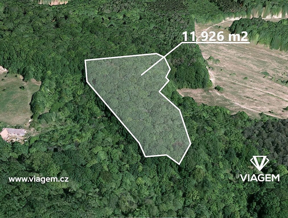 Prodej lesa 2 115 m²