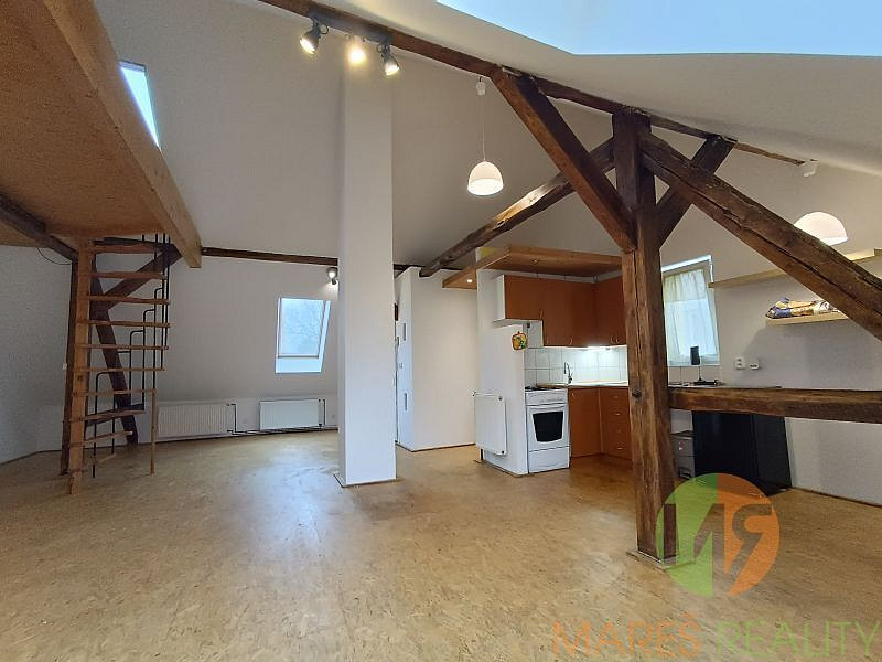 Pronájem bytu 1+kk 60 m² – fotografie 4