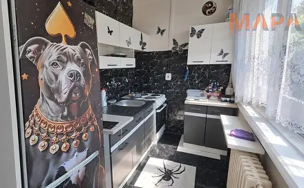 Prodej bytu 1+1 27 m², Růžová, Most