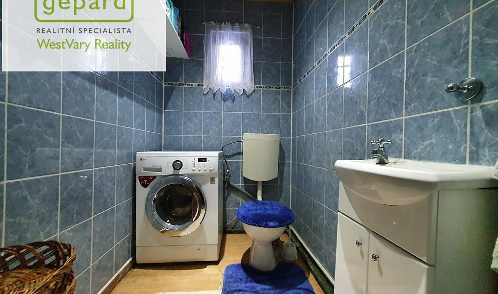 Prodej domu 250 m² s pozemkem 738 m², Děpoltovice – náhled fotky 8