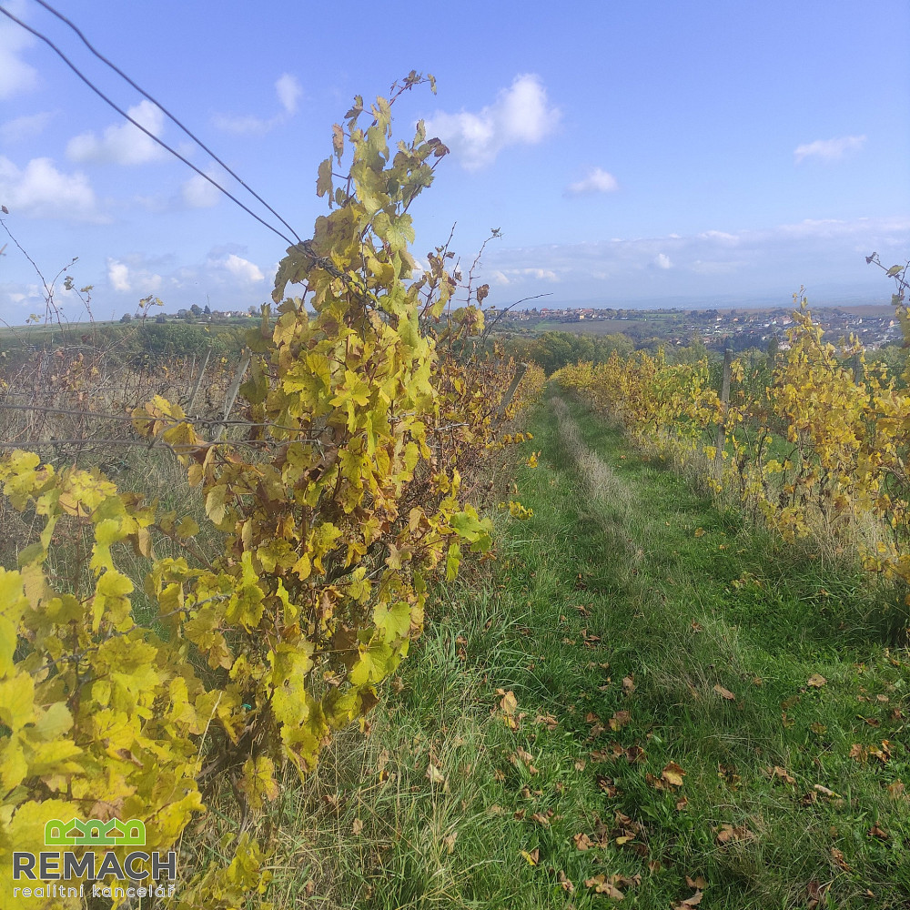 Prodej pole 4 846 m²