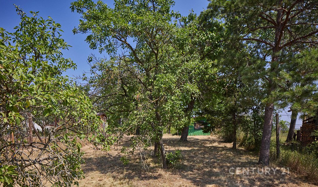 Prodej zahrady 1 034 m², Suchohrdly – náhled fotky 9