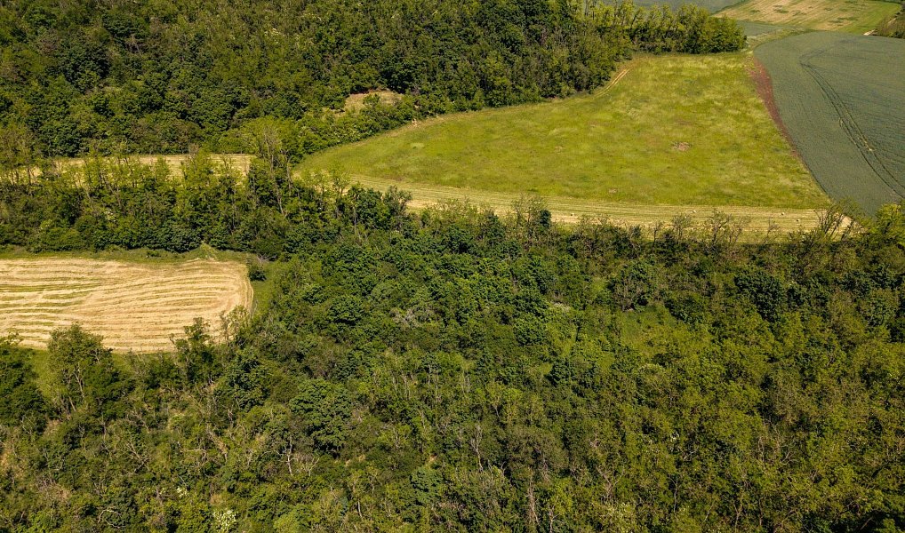 Prodej zahrady 8 724 m², Ivančice – náhled fotky 14