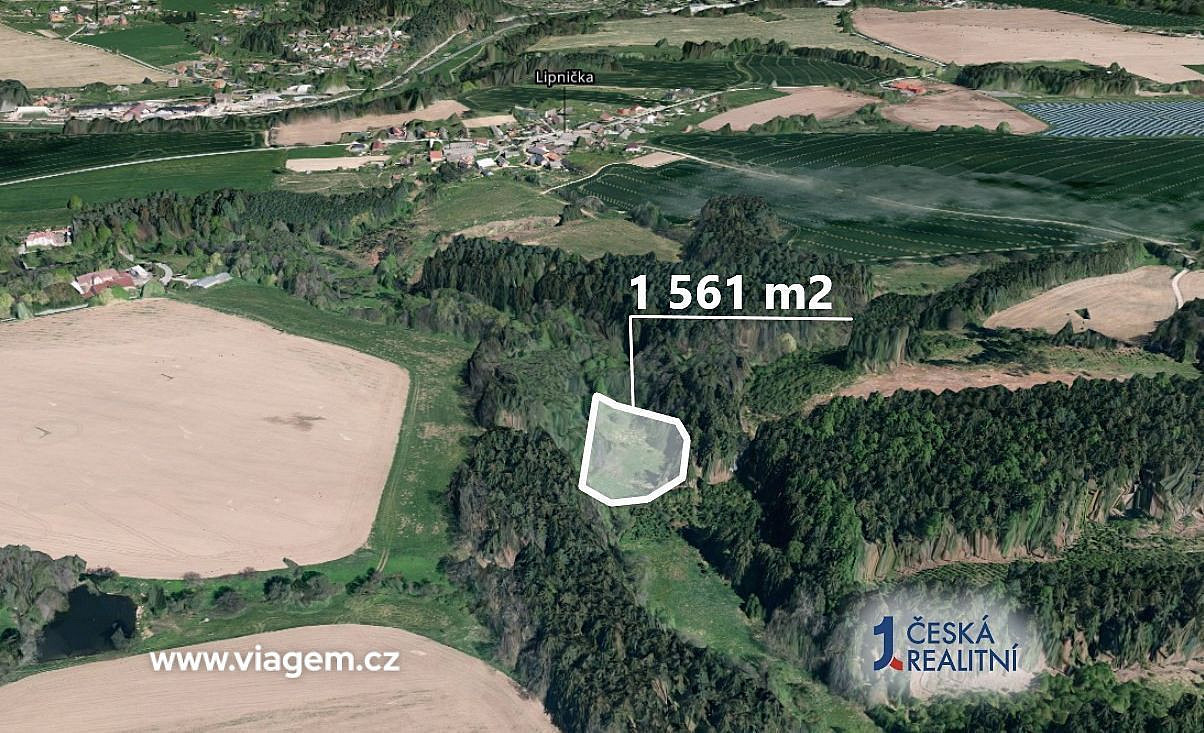 Prodej pole 1 561 m² – fotografie 2