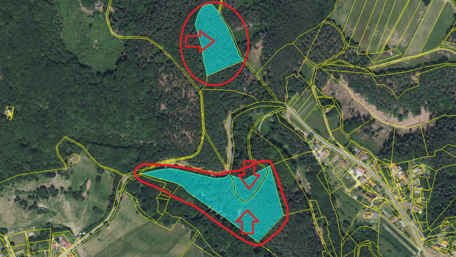 Fotka 13 z 22