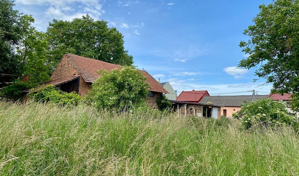 Prodej stavebního pozemku 2 450 m², Honětice – náhled fotky 10