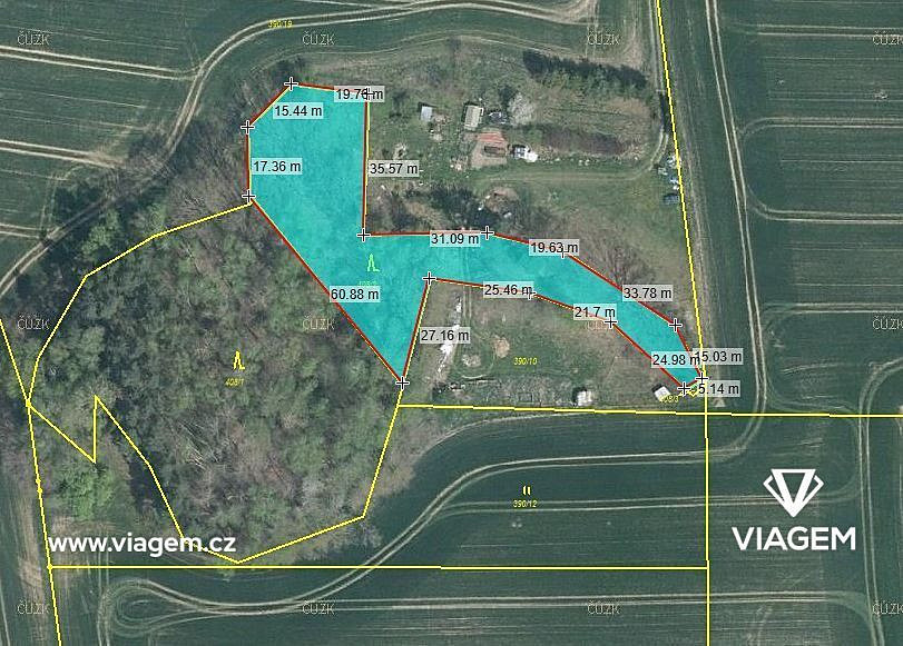 Prodej lesa 2 049 m² – fotografie 4