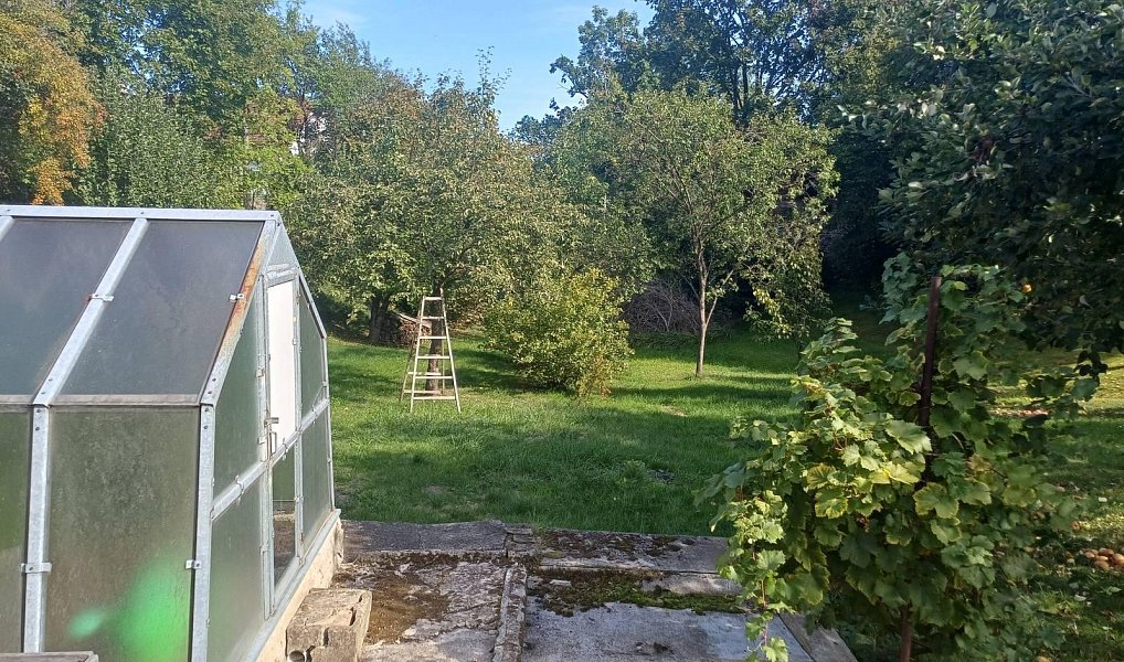 Prodej domu 60 m² s pozemkem 1 201 m², Pracejovice – náhled fotky 9