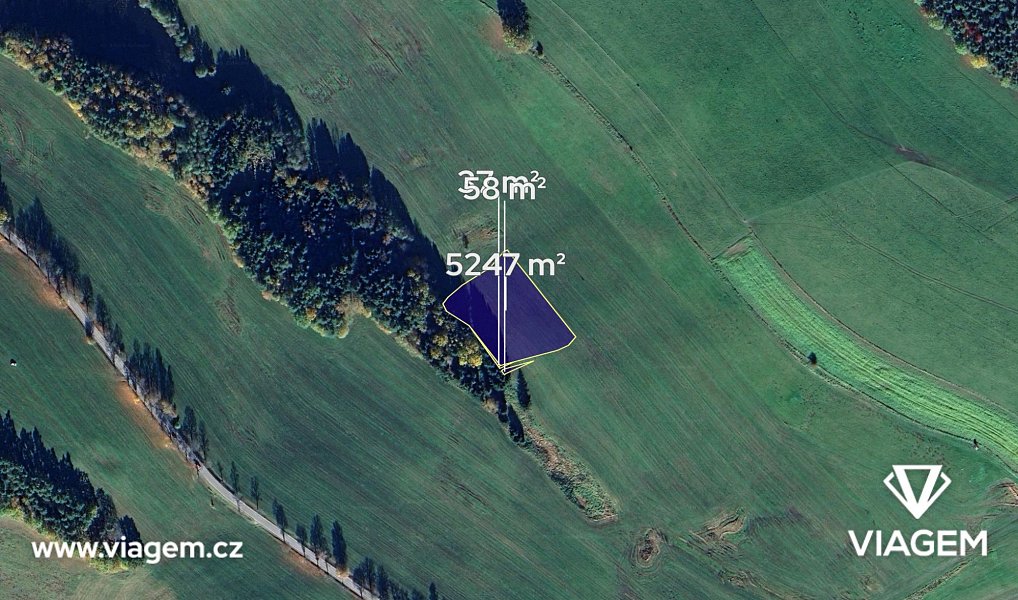 Prodej pole 334 m², Olešnice – náhled fotky 2