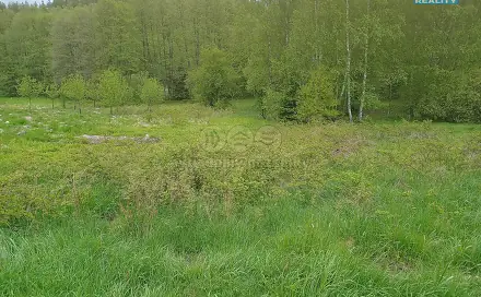 Prodej louky 6 962 m², Kořenov - Rejdice, okres Jablonec nad Nisou
