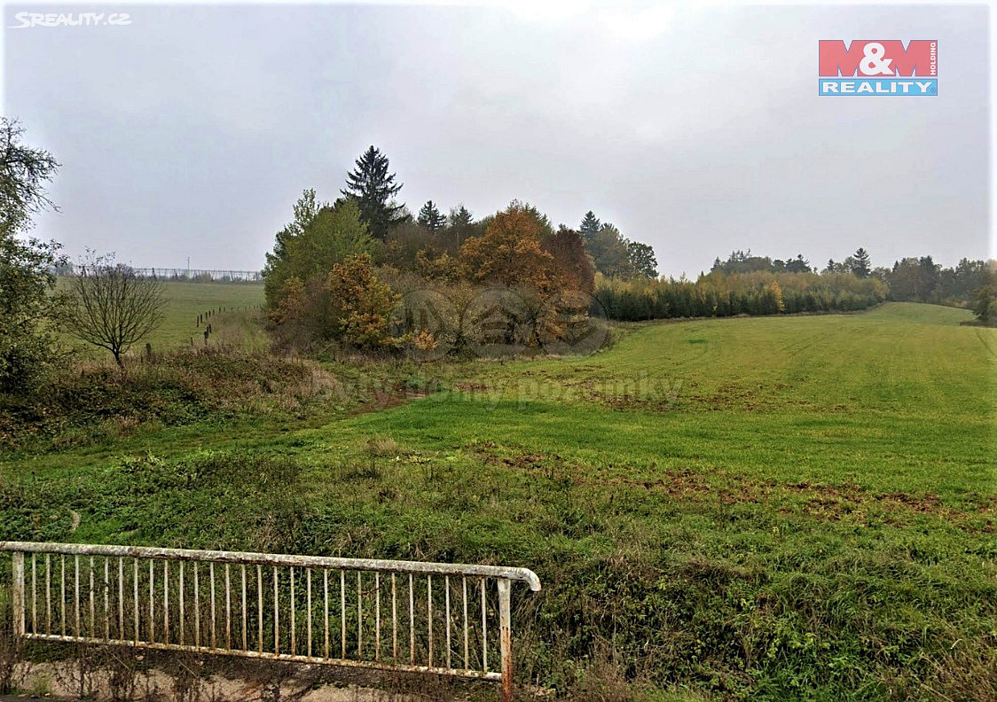Prodej lesa 1 477 m² – fotografie 2