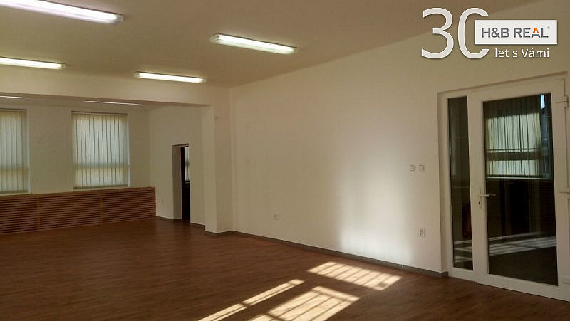 Pronájem obchodních prostor 195 m² – fotografie 5
