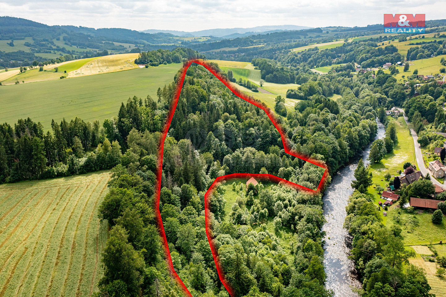 Prodej lesa 36 610 m²