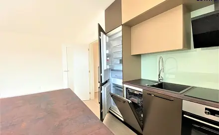 Pronájem bytu 2+kk 52 m², Reissigova, Brno - Ponava