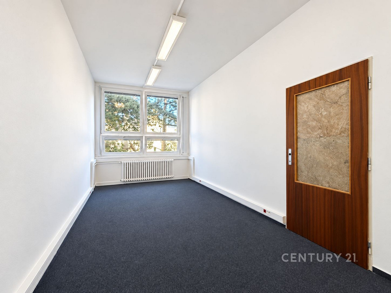 Pronájem kanceláře 16 m² – fotografie 4