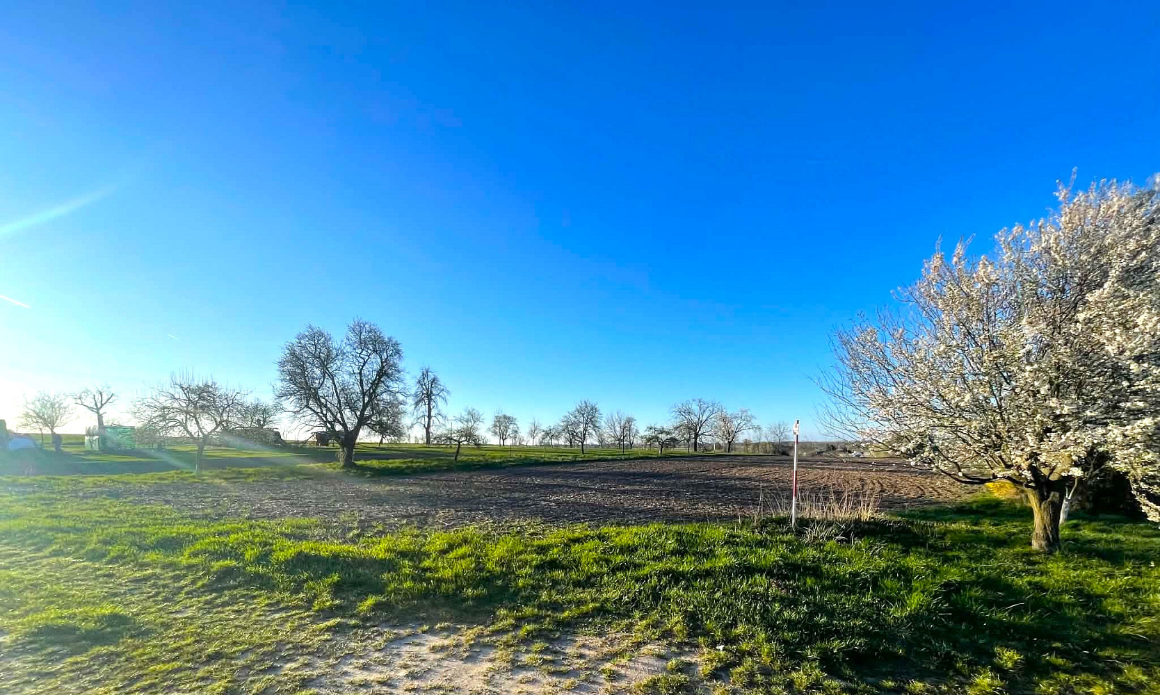 Prodej stavebního pozemku 2 662 m² – fotografie 3