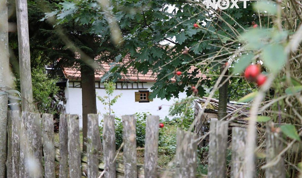 Prodej domu 180 m² s pozemkem 660 m², Studnice – náhled fotky 5