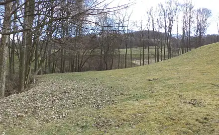 Prodej pole 4 633 m², Heřmanov - Fojtovice, okres Děčín