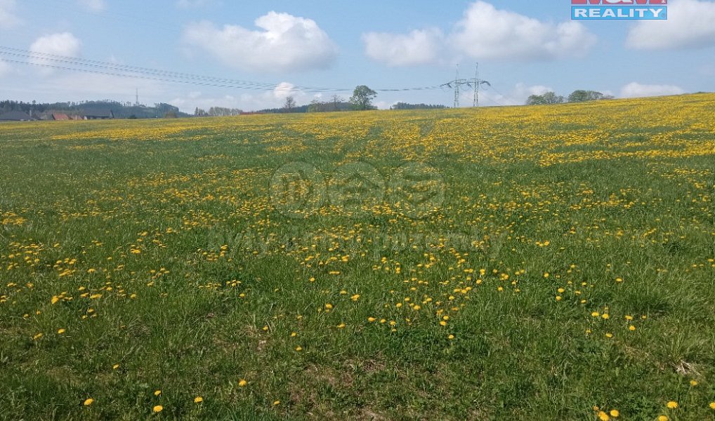 Prodej pole 68 457 m², Malá Roudka – náhled fotky 6