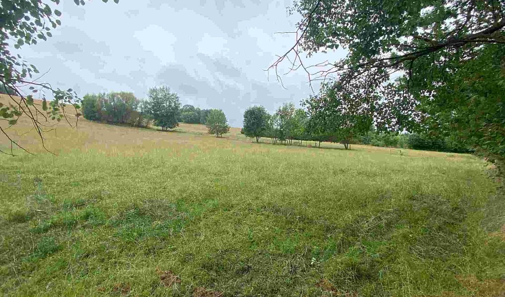 Prodej pozemku 1 993 m², Březová – náhled fotky 6