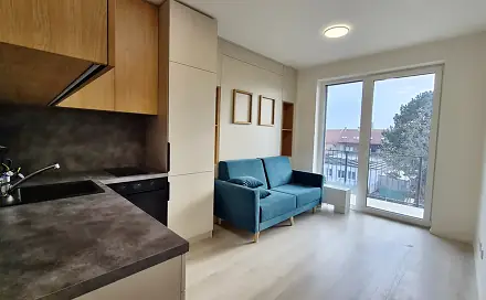 Pronájem bytu 1+kk 25 m², Dornych, Brno - Komárov
