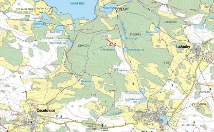 Dražba lesa 185 m², Záboří