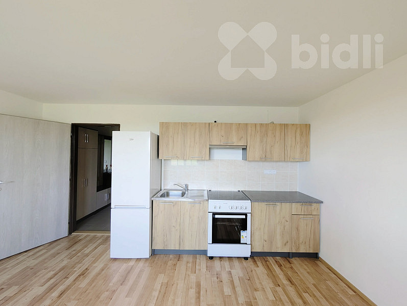 Pronájem bytu 5+kk 31 m² — photo 3