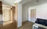 Ostatní