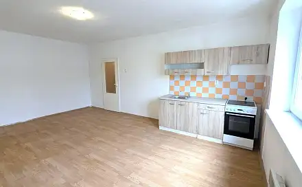 Pronájem bytu 1+kk 37 m², Palackého, Louny