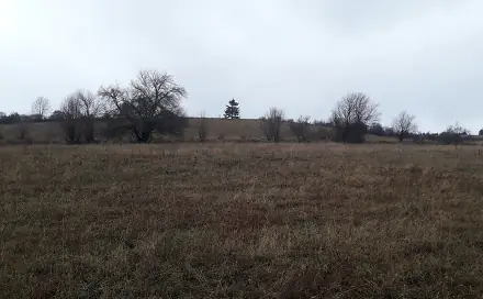 Prodej pole 25 028 m², Teplice nad Metují - Dolní Teplice, okres Náchod