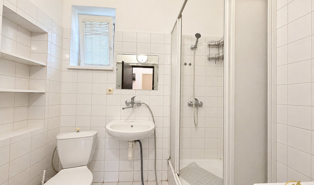 Prodej nájemního domu, činžáku 360 m², Mladá Boleslav – náhled fotky 16