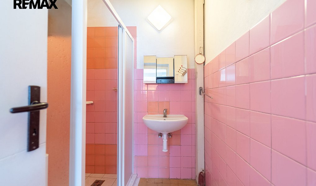 Prodej domu 80 m² s pozemkem 3 454 m², Rožďalovice – náhled fotky 19