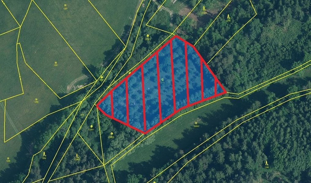 Prodej zahrady 6 582 m², Hrádek – náhled fotky 2