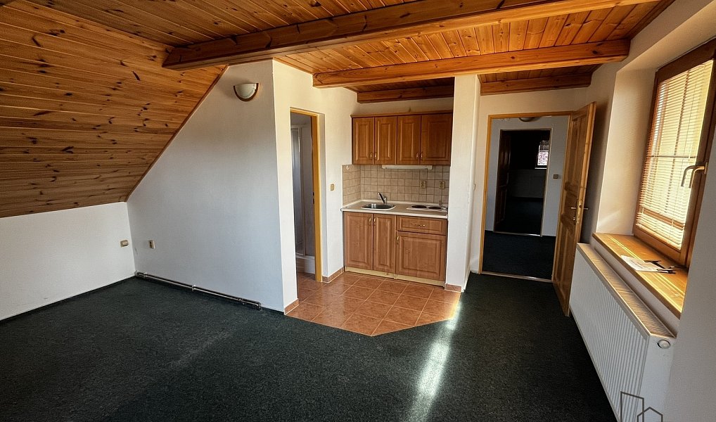 Prodej domu 160 m² s pozemkem 4 055 m², Podhradní Lhota – náhled fotky 28