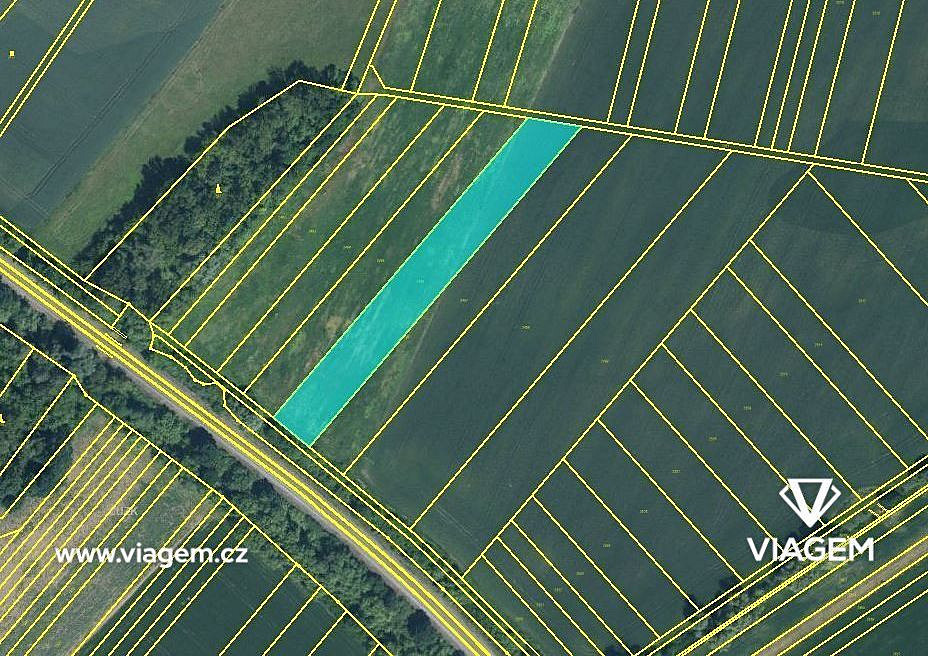 Prodej pole 3 972 m² – fotografie 3