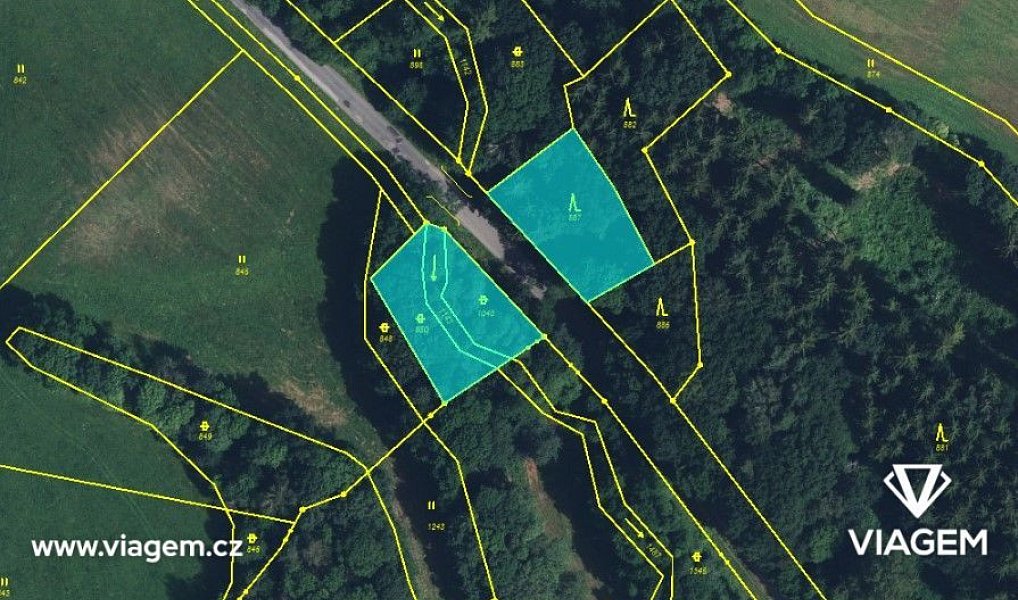 Prodej lesa 516 m², Úbislavice – náhled fotky 3