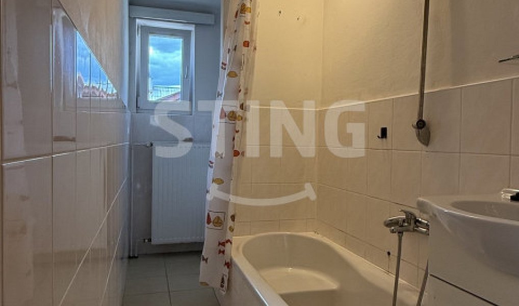 Prodej domu 280 m² s pozemkem 259 m², Bruntál – náhled fotky 12