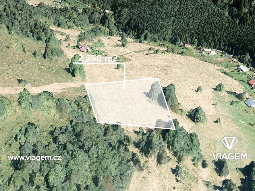 Pole 2 250 m², Podíl 33 % o výměře 750 m²