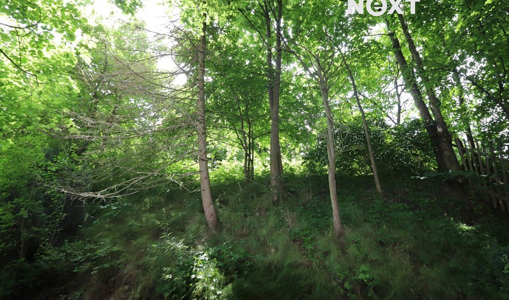 Prodej domu 65 m² s pozemkem 1 166 m², Onšov – náhled fotky 6