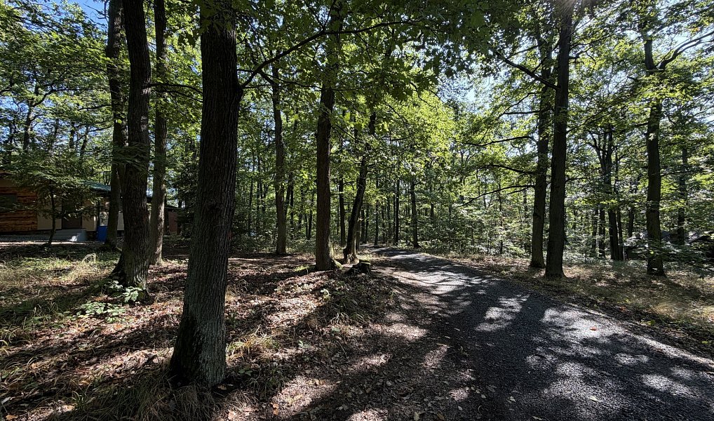 Prodej chaty/chalupy 33 m² s pozemkem 33 m², Brno – náhled fotky 49