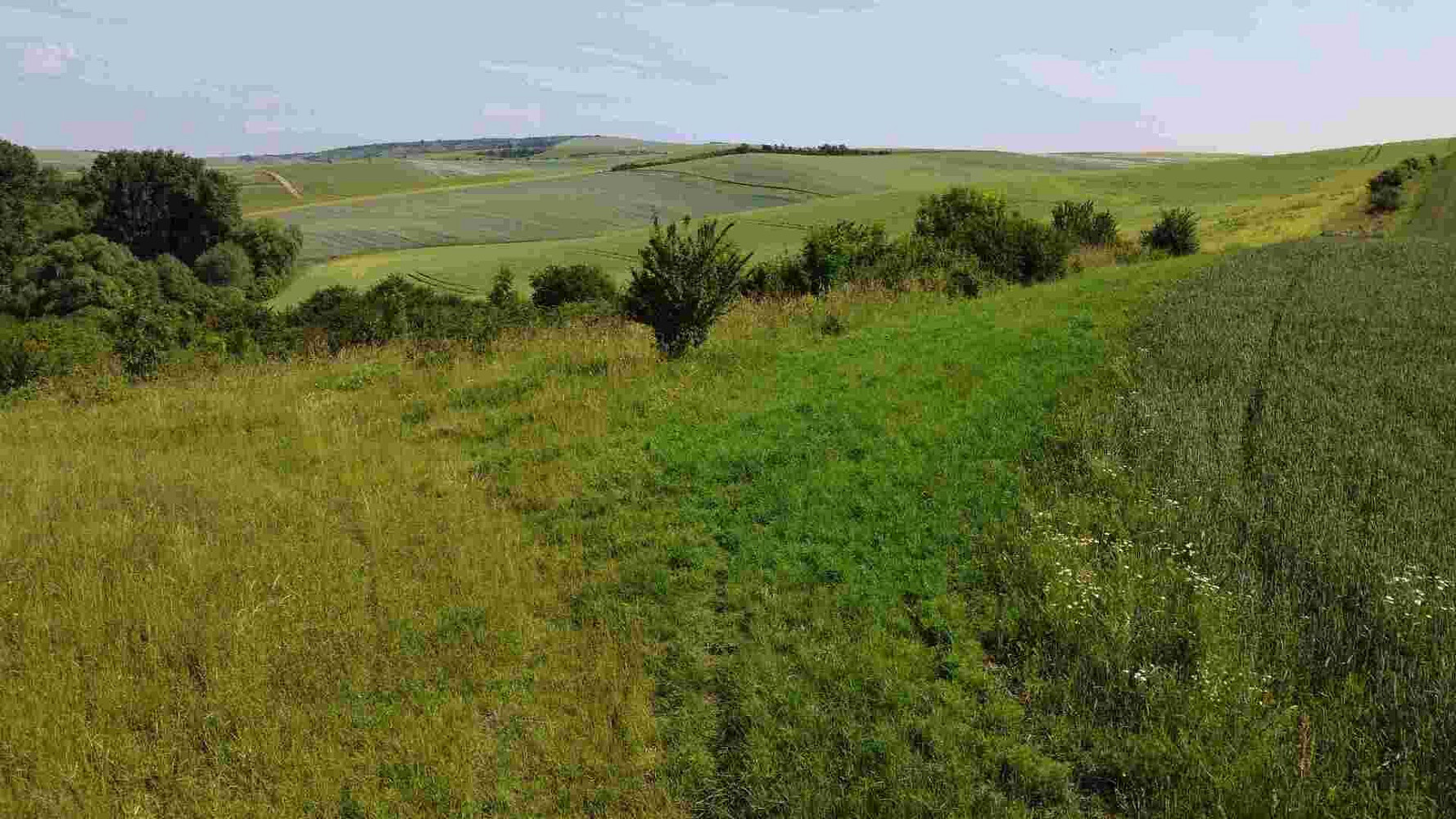 Prodej pole 3 134 m²