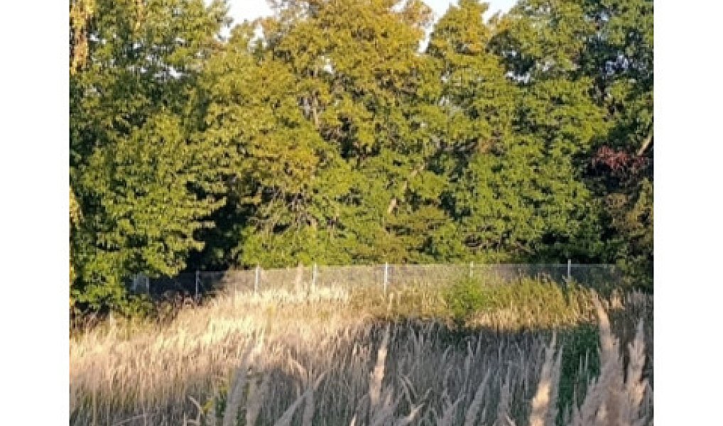 Prodej stavebního pozemku 1 014 m², Černošice – náhled fotky 3