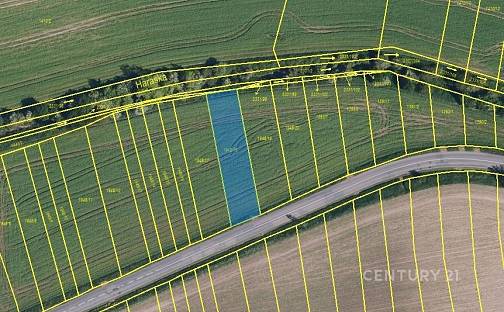 Prodej pole 743 m², Morkůvky, okres Břeclav