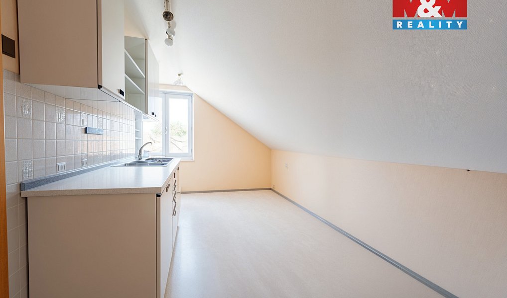 Prodej domu 220 m² s pozemkem 3 838 m², Borovany – náhled fotky 3