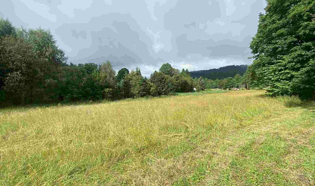 Prodej stavebního pozemku 1 500 m², Deštné v Orlických horách – náhled fotky 3