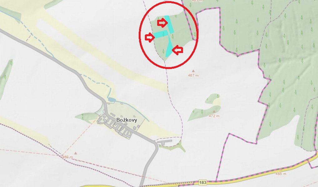 Prodej lesa 5 759 m², Hradiště – náhled fotky 13